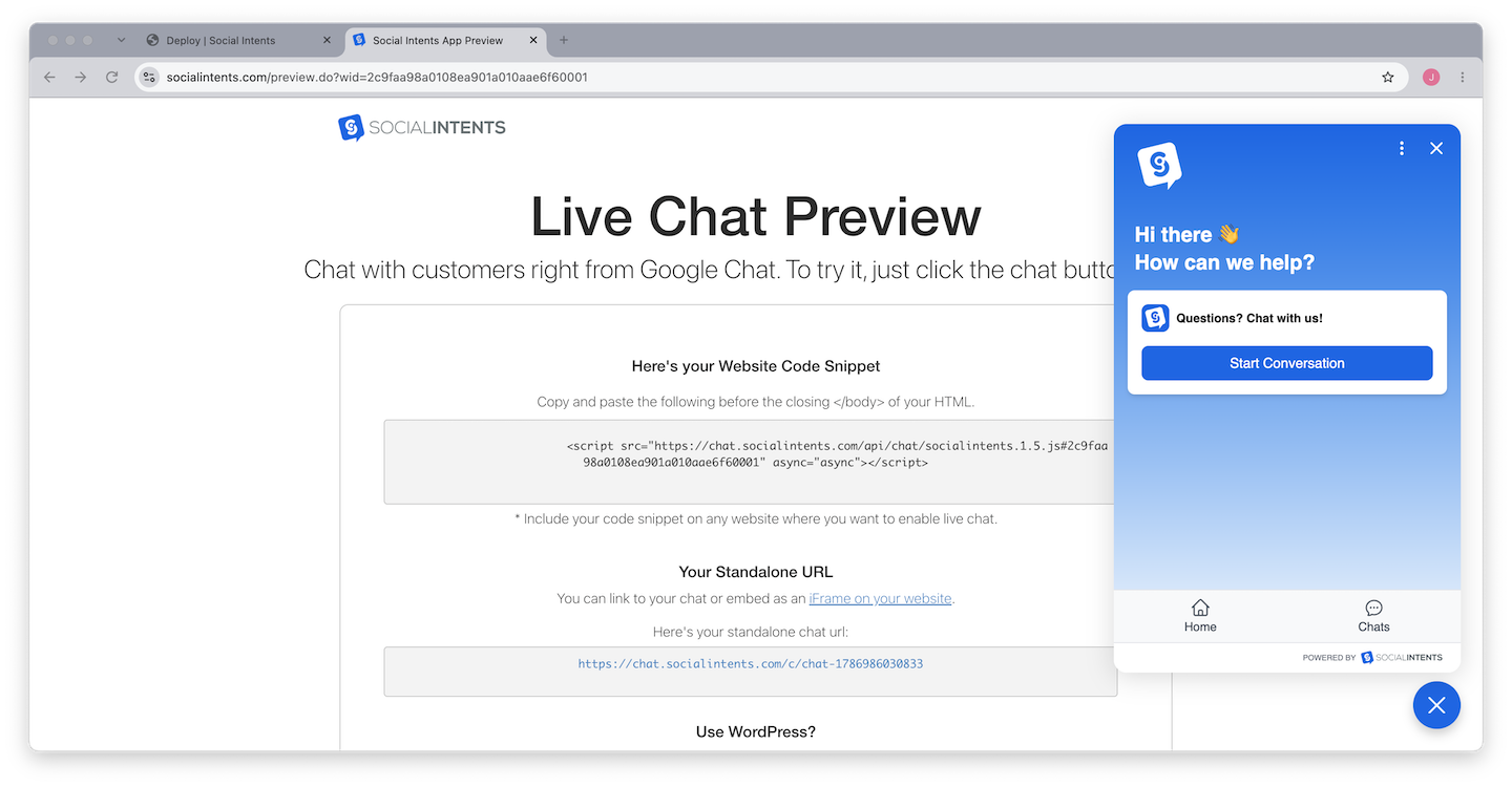 Widget preview showing the visitor chat window with branding and greeting